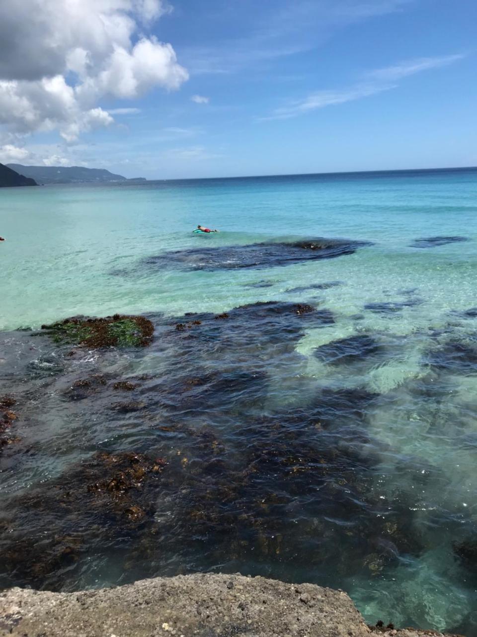 Hotel ペンション百万本のバラ "A Million Roses" à Shimoda  Extérieur photo